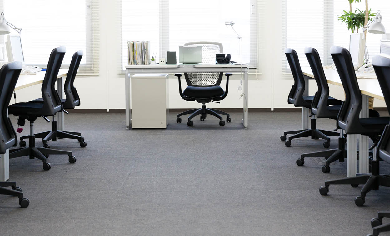 Moqueta y tapicería (9/35)